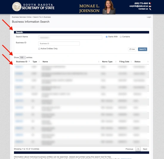 South Dakota Business Entity Search Guide: Quick and Easy Steps